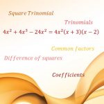 Meaning of term factoring polynomials